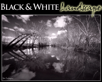 Black and White Landscape Photography